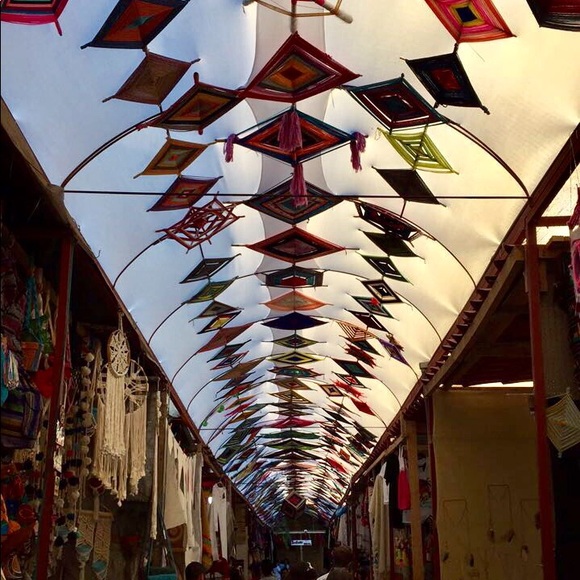 Meet your Posher, Niki - Picture 1 of 1